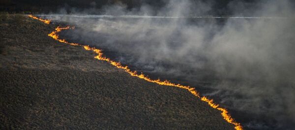 Лесной пожар в Украине - Sputnik Afrique