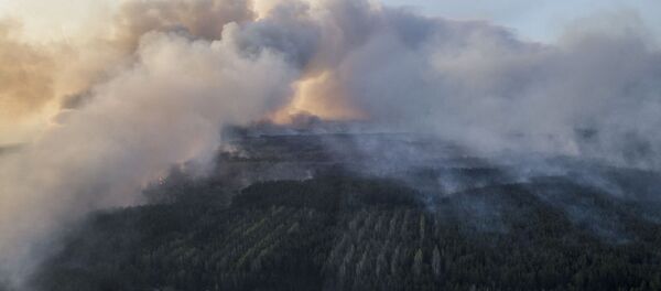 Feu de forêt dans la zone de Tchernobyl - Sputnik Afrique