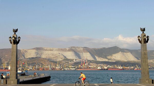  Port de Novorossiïsk, image d'illustration - Sputnik Afrique