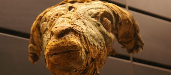 Une momie de mouton - Sputnik Afrique