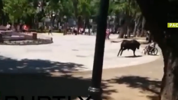Espagne: un taureau déchaîné fait 11 blessés - Sputnik Afrique