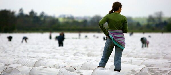 Young migrant workers - Sputnik Afrique