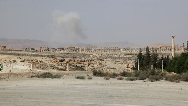 Smoke rises due to what activists said was shelling from Islamic State fighters on Palmyra city, Syria May 19, 2015 - Sputnik Afrique