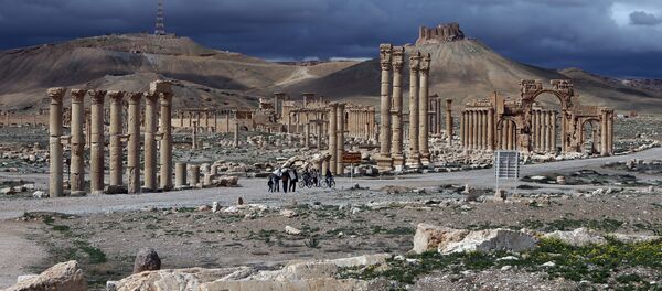 The citadel (background) of the ancient oasis city of Palmyra, 215 kilometres northeast of Damascus - Sputnik Afrique