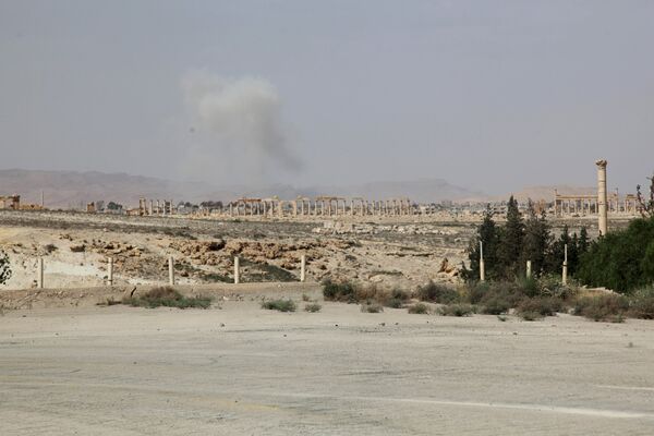 Syrie: Palmyre sous la coupe des islamistes - Sputnik Afrique