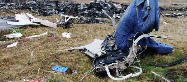 Место крушения малайзийского Boeing 777 - Sputnik Afrique
