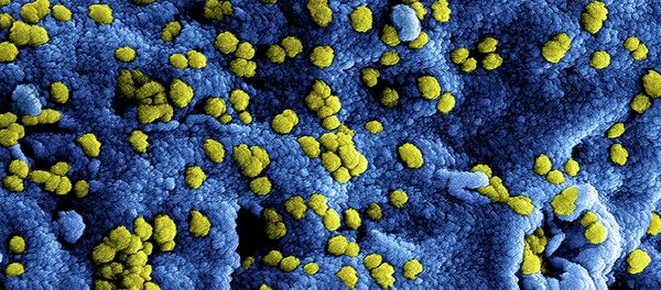 MERS Coronavirus Particles - Sputnik Afrique