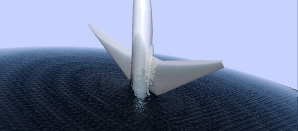 Un avion tombe dans l'eau (image d'illustration) - Sputnik Afrique