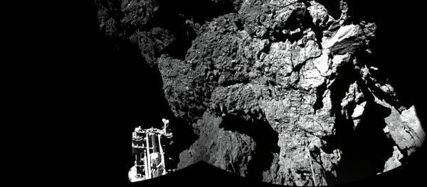 Robot Philae sur la comète 67P - Sputnik Afrique