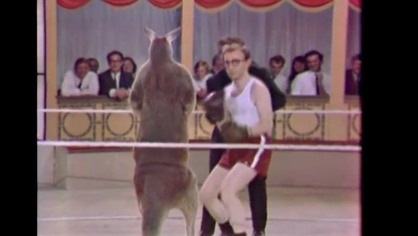 Woody Allen vs un kangourou - Sputnik Afrique