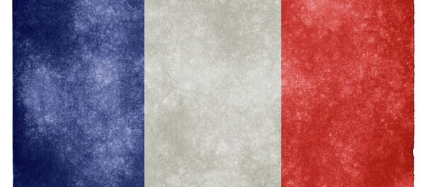 Drapeau de la France Drapeau de la France - Sputnik Afrique
