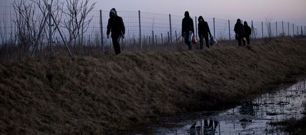 FILE - In this Feb. 17, 2015 file photo Afghan migrants trek their way to the Serbian border with Hungary close to Hajdukovo, 150 kilometers north of Belgrade, Serbia FILE - In this Feb. 17, 2015 file photo Afghan migrants trek their way to the Serbian border with Hungary close to Hajdukovo, 150 kilometers north of Belgrade, Serbia - Sputnik Afrique