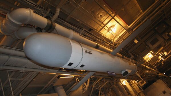 Tomahawk missile - Sputnik Afrique