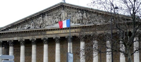 L'Assemblée Nationale, Paris - Sputnik Afrique