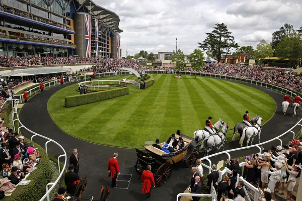 Les chapeaux fantastiques des courses royales d'Ascot Les chapeaux fantastiques des courses royales d'Ascot - Sputnik Afrique
