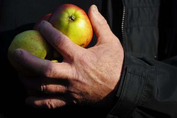 Les sanctions antirusses Les sanctions antirusses - Sputnik Afrique