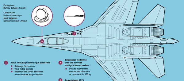 Particularités et performances du Su-35S - Sputnik Afrique