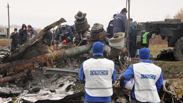 Le site du crash du Boeing malaisien en Ukraine - Sputnik Afrique