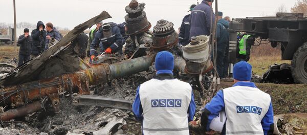 Le site du crash du Boeing malaisien en Ukraine - Sputnik Afrique