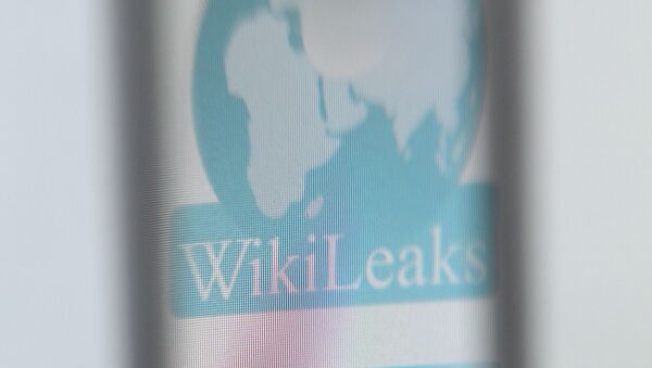 The logo of the website specialised in publishing secret documents WikiLeaks - Sputnik Afrique