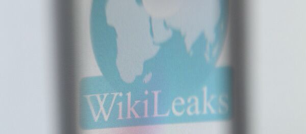 The logo of the website specialised in publishing secret documents WikiLeaks - Sputnik Afrique