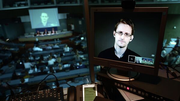 NSA former intelligence contractor Edward Snowden is seen via live video link from Russia on a computer screen during a parliamentary hearing on the subject of Improving the protection of whistleblowers, on June 23, 2015, at the Council of Europe in Strasbourg - Sputnik Afrique