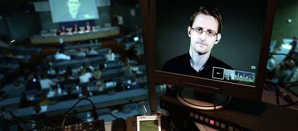 NSA former intelligence contractor Edward Snowden is seen via live video link from Russia on a computer screen during a parliamentary hearing on the subject of Improving the protection of whistleblowers, on June 23, 2015, at the Council of Europe in Strasbourg - Sputnik Afrique