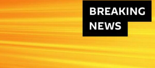 Breaking news - Sputnik Afrique