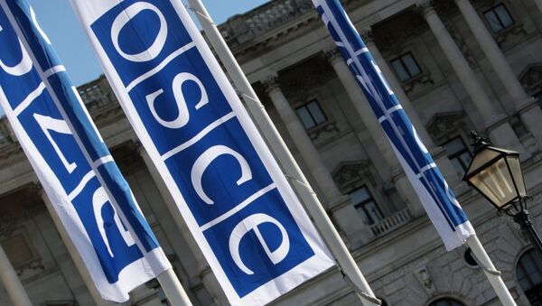 Флаги с логотипом ОБСЕ в Вене - Sputnik Afrique