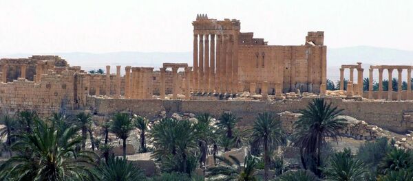 Palmyre - Sputnik Afrique