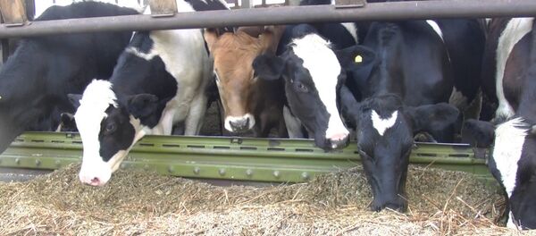 Une ferme - Sputnik Afrique