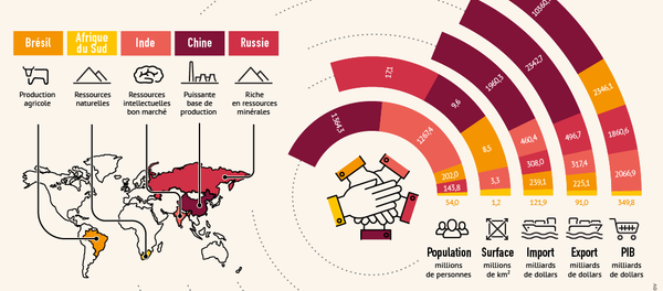 Pays de BRICS: faits et chiffres - Sputnik Afrique