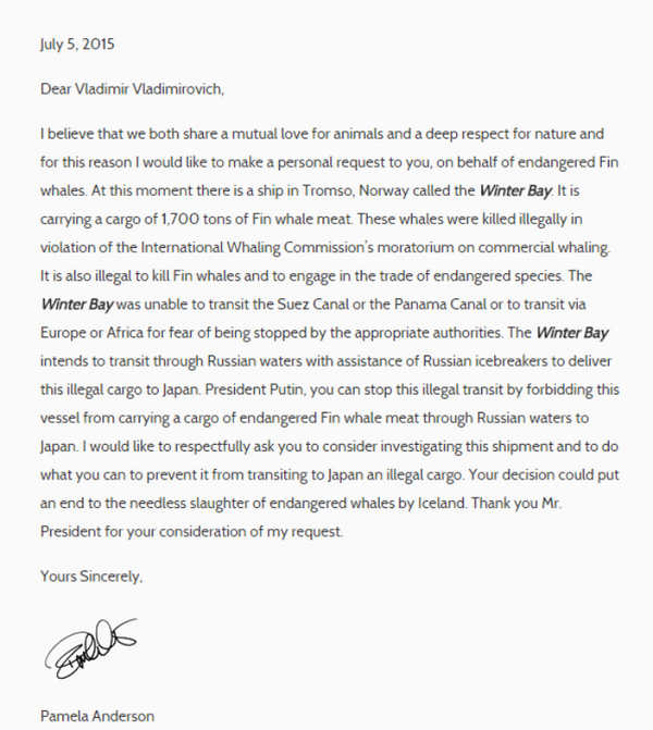 La lettre de Pamela Anderson au président russe Vladimir Poutine La lettre de Pamela Anderson au président russe Vladimir Poutine - Sputnik Afrique