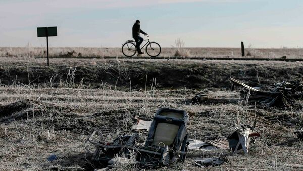 A man rides his bicycle past the wreckage of MH17, a Malaysia Airlines Boeing 777 plane - Sputnik Afrique