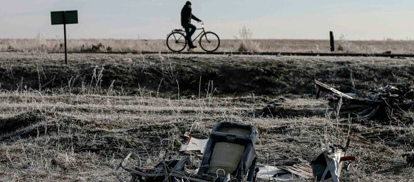 A man rides his bicycle past the wreckage of MH17, a Malaysia Airlines Boeing 777 plane A man rides his bicycle past the wreckage of MH17, a Malaysia Airlines Boeing 777 plane - Sputnik Afrique