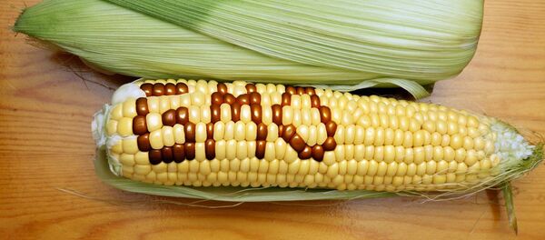 ГМО - Sputnik Afrique