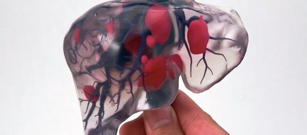 A 3D model of a human organ recreated in its entirety - Sputnik Afrique