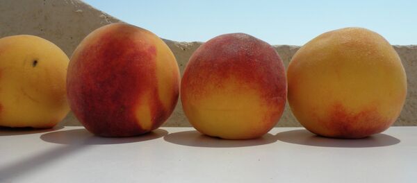 Fruits - Sputnik Afrique