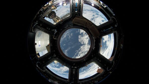An Astronaut's View from Station - Sputnik Afrique