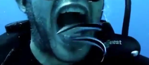 Une façon de se brosser les dents… sous l'eau - Sputnik Afrique