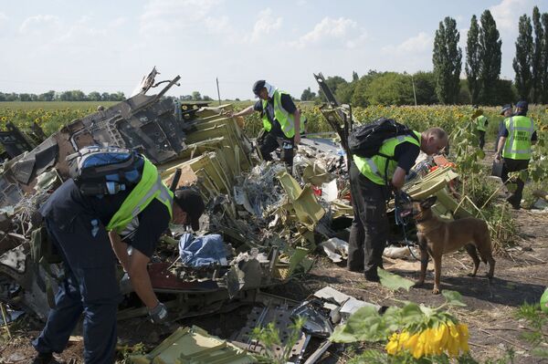 Il y a un an, le crash du Boeing MH17 en Ukraine - Sputnik Afrique
