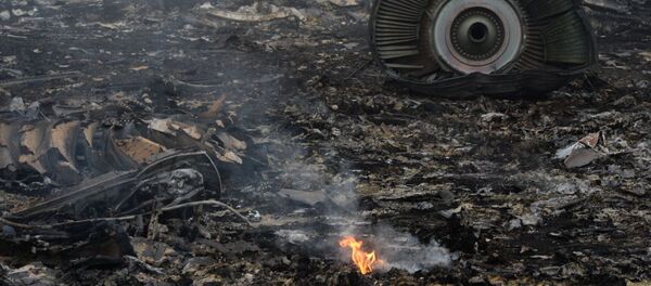 Lieu du crash du vol MH17 - Sputnik Afrique