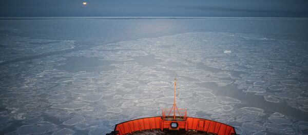 Экспедиция на Северный полюс - Sputnik Afrique