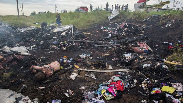 Site du crash du Boeing malaisien en Ukraine - Sputnik Afrique