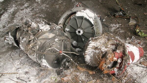 Le lieu du crash du Boeing malaisien dans la région de Donetsk - Sputnik Afrique