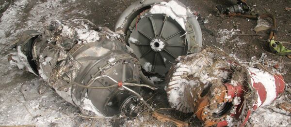 Le lieu du crash du Boeing malaisien dans la région de Donetsk - Sputnik Afrique