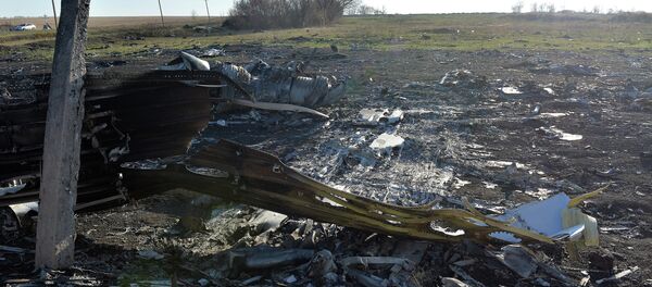 Эксперты ОБСЕ осматривают место крушения малазийского самолета - Sputnik Afrique