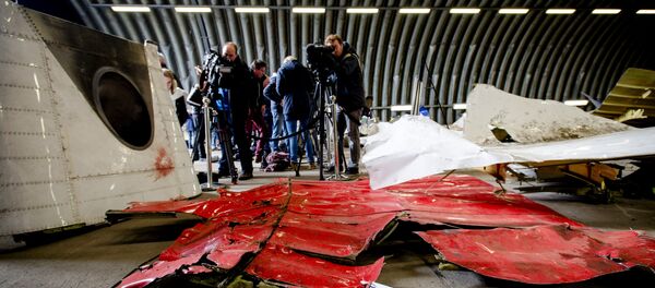 Fragments du Boeing malaisien abattu en Ukraine - Sputnik Afrique