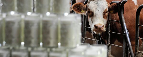 Lait - Sputnik Afrique