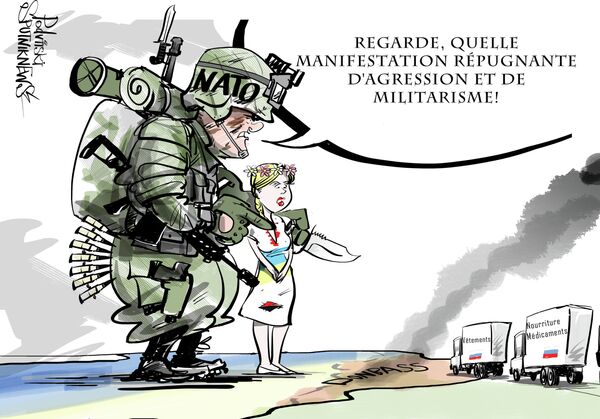 Aile protectrice Aile protectrice - Sputnik Afrique
